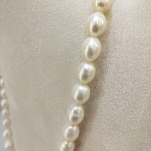 The Natural Single-Line Oval Shape Necklace: A Timeless Blend of Elegance and Simplicity