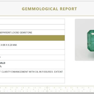 Natural Emerald 11.02 Ratti | Govt. Lab Certified | Octagon Step Cut Report No 6810D26563