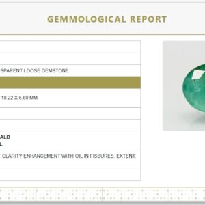 Natural Emerald | Govt. Lab Certified | Oval Mixed Cut