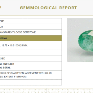 Natural Emerald | Oval Mixed Cut | Govt. Lab Certified 6938D27081