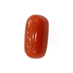 Natural Red Coral | Certified |Oval Cut Gemstone Summary No. IGCDKBAJ44729