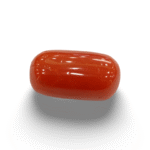 Natural  Red Coral | Certified  |Oval Cut  Gemstone Summary No. IGCDKBAJ44729