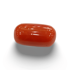 Natural Red Coral | Certified |Oval Cut Gemstone Summary No. IGCDKBAJ44729