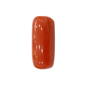 Natural Red Coral | Certified | Capsule Cut Gemstone Summary No. IGCDKBAJ44966