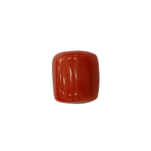 Natural Red Coral | Certified |Capsule Cut Gemstone Summary No. IGCDKBAJ53526