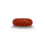 Natural Red Coral | Certified |Capsule Cut Gemstone Summary No. IGCDKBAJ44857