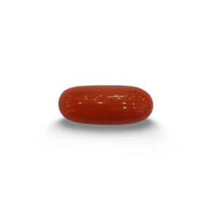 Natural Red Coral | Certified |Capsule Cut Gemstone Summary No. IGCDKBAJ44857