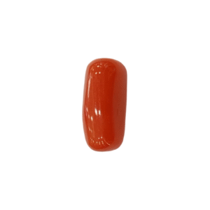 Natural Red Coral | Certified |Capsule Cut Gemstone Summary No. IGCDKBAJ44903
