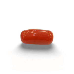 Natural Red Coral | Certified |Capsule Cut Gemstone Summary No. IGCDKBAJ44903