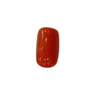 Natural Red Coral | Certified |Capsule Cut Gemstone Summary No. IGCDKBAJ44905