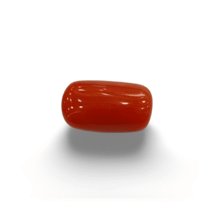 Natural Red Coral | Certified |Capsule Cut Gemstone Summary No. IGCDKBAJ44905