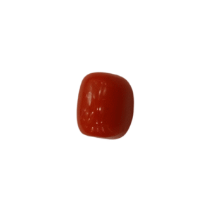 Natural Red Coral | Certified |Capsule Cut Gemstone Summary No. IGCDKBAJ44904