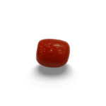 Natural Red Coral | Certified |Capsule Cut Gemstone Summary No. IGCDKBAJ44904
