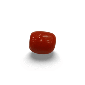 Natural Red Coral | Certified |Capsule Cut Gemstone Summary No. IGCDKBAJ44904