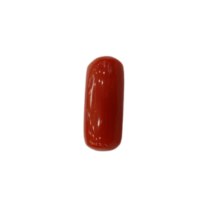 Natural Red Coral | Certified |Capsule Cut Gemstone Summary No. IGCDKBAJ44728