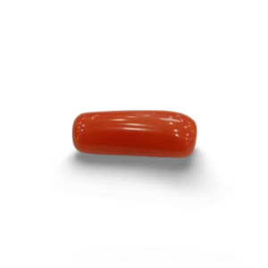 Natural Red Coral | Certified |Capsule Cut Gemstone Summary No. IGCDKBAJ44955
