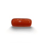 Natural Red Coral | Certified |Capsule Cut Gemstone Summary No. IGCDKBAJ44950