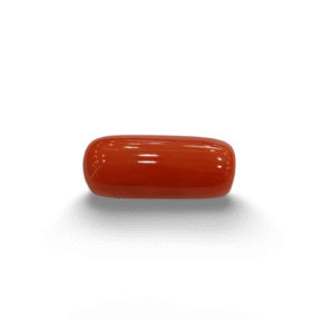 Natural Red Coral | Certified |Capsule Cut Gemstone Summary No. IGCDKBAJ44950