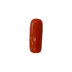 Natural Red Coral | Certified |Capsule Cut Gemstone Summary No. IGCDKBAJ44873