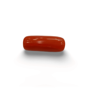 Natural Red Coral | Certified |Capsule Cut Gemstone Summary No. IGCDKBAJ44873