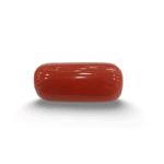 Natural Red Coral | Certified |Capsule Cut Gemstone Summary No. IGCDKBAJ44725