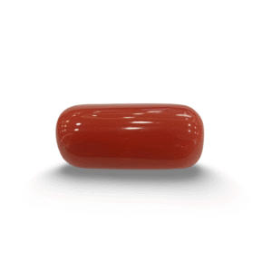 Natural Red Coral | Certified |Capsule Cut Gemstone Summary No. IGCDKBAJ44725