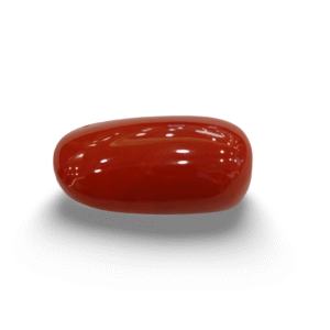 Natural Red Coral | Certified |Capsule Cut Gemstone Summary No. IGCDKBAJ46131