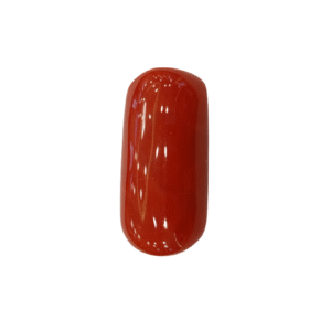 Natural Red Coral | Certified |Capsule Cut Gemstone Summary No. IGCDKBAJ44849