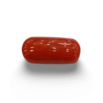 Natural Red Coral | Certified |Capsule Cut Gemstone Summary No. IGCDKBAJ44849