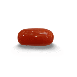 Natural Red Coral | Certified |Capsule Cut Gemstone Summary No. IGCDKBAJ44909