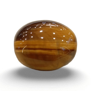 Tiger Eye The Essence of Grounding and Strength Summary No IGCDKBAJ44770