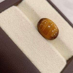 Tiger Eye The Essence of Grounding and Strength Summary No IGCDKBAJ44760