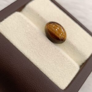 Tiger Eye The Essence of Grounding and Strength Summary No IGCDKBAJ44759