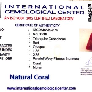 Natural Italian Red Coral | Certified Triangular Cabochon Moonga | Untreated Gemstone IGCDKBAJ42374